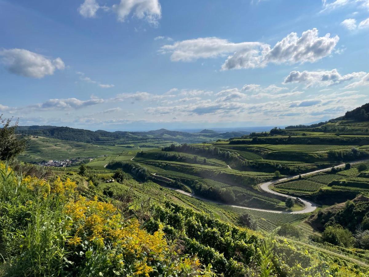 Apartamento Weingut & Strausswirtschaft Vogel Vogtsburg Exterior foto