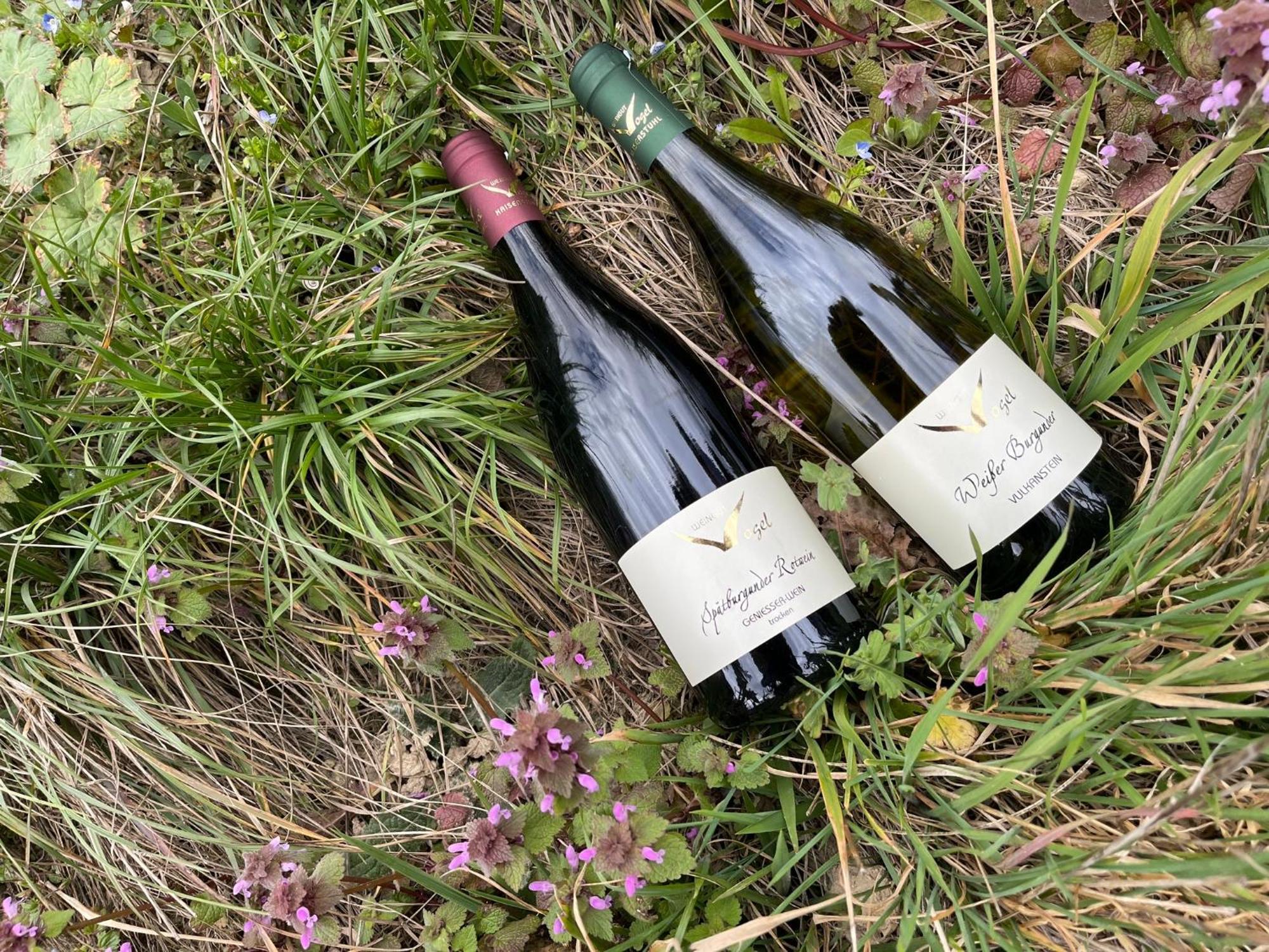Apartamento Weingut & Strausswirtschaft Vogel Vogtsburg Exterior foto